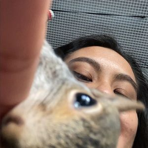 Meet your Posher, Margarita